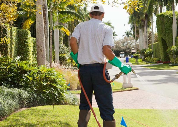 About Barnesville GA Pest Control Pros